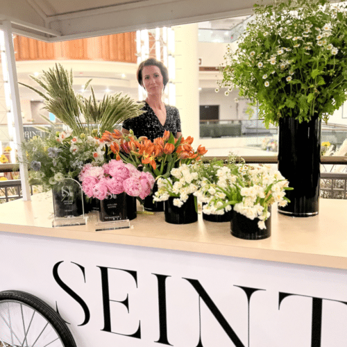 5 Reasons Why the Seint Artist Program Might be for You